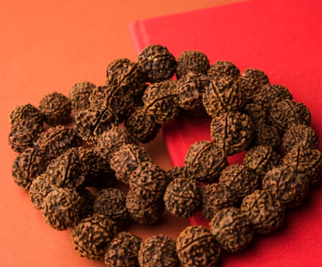 Rudraksha ग